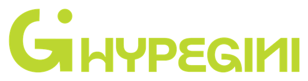 HypeGini logo